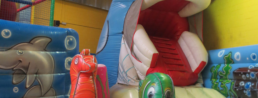 La ballena de Planeta Mágico